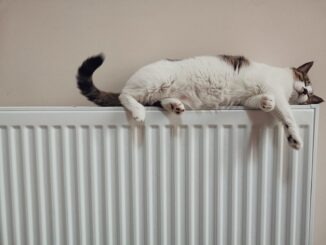 Kat på radiator